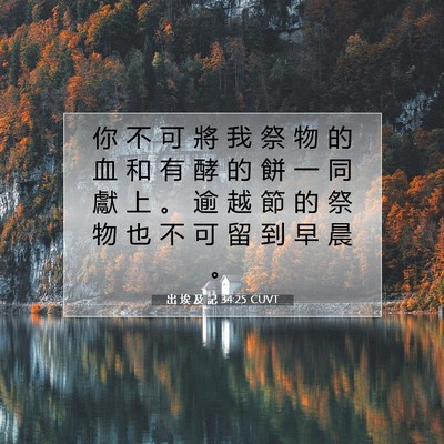 Picture 07 - 出 埃 及 記 34:25 CUVT - 你 不 可 將 我 祭 物 的 血 和 有 酵 - Bible Verse Picture