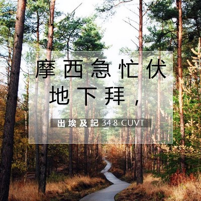 Picture 07 - 出 埃 及 記 34:8 CUVT - 摩 西 急 忙 伏 地 下 拜 - Bible Verse Picture