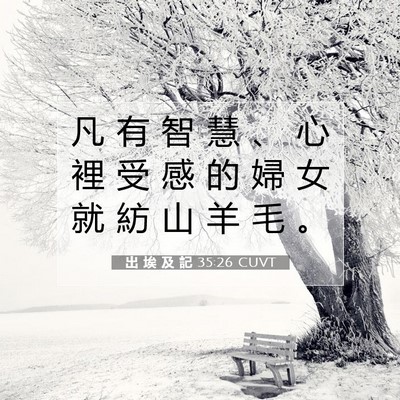 Picture 07 - 出 埃 及 記 35:26 CUVT - 凡 有 智 慧 、 心 裡 受 感 的 婦 女 - Bible Verse Picture