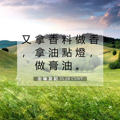 Picture 07 - 出 埃 及 記 35:28 CUVT - 又 拿 香 料 做 香 ， 拿 油 點 燈 ， - Bible Verse Picture