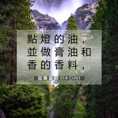 Picture 07 - 出 埃 及 記 35:8 CUVT - 點 燈 的 油 ， 並 做 膏 油 和 香 的 - Bible Verse Picture