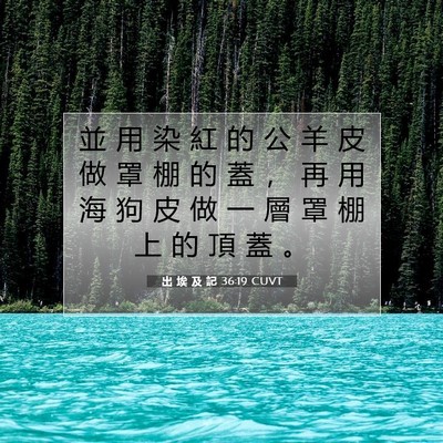 Picture 07 - 出 埃 及 記 36:19 CUVT - 並 用 染 紅 的 公 羊 皮 做 罩 棚 的 - Bible Verse Picture