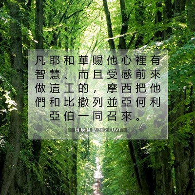 Picture 07 - 出 埃 及 記 36:2 CUVT - 凡 耶 和 華 賜 他 心 裡 有 智 慧 、 - Bible Verse Picture