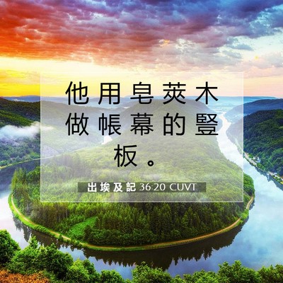 Picture 07 - 出 埃 及 記 36:20 CUVT - 他 用 皂 莢 木 做 帳 幕 的 豎 板 - Bible Verse Picture