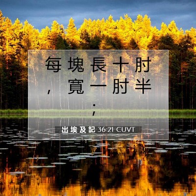 Picture 07 - 出 埃 及 記 36:21 CUVT - 每 塊 長 十 肘 ， 寬 一 肘 半 - Bible Verse Picture