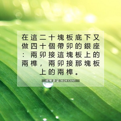 Picture 07 - 出 埃 及 記 36:24 CUVT - 在 這 二 十 塊 板 底 下 又 做 四 十 - Bible Verse Picture