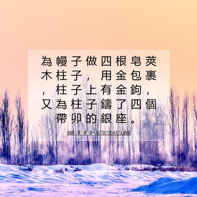 Picture 07 - 出 埃 及 記 36:36 CUVT - 為 幔 子 做 四 根 皂 莢 木 柱 子 ， - Bible Verse Picture