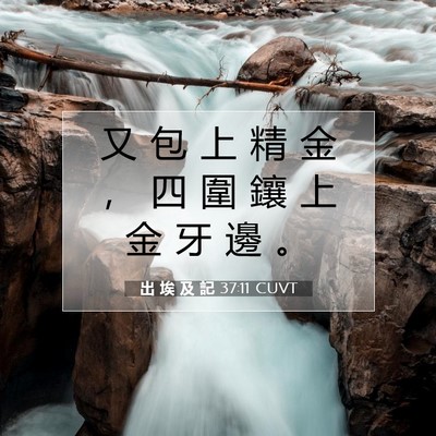 Picture 07 - 出 埃 及 記 37:11 CUVT - 又 包 上 精 金 ， 四 圍 鑲 上 金 牙 - Bible Verse Picture
