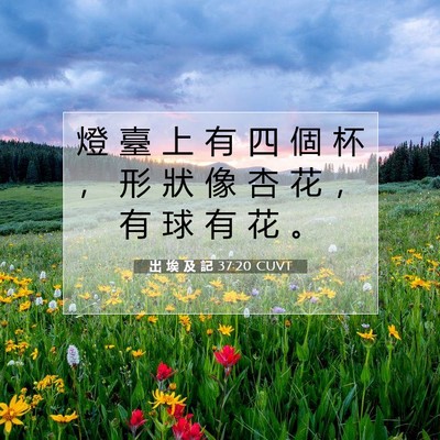 Picture 07 - 出 埃 及 記 37:20 CUVT - 燈 臺 上 有 四 個 杯 ， 形 狀 像 杏 - Bible Verse Picture
