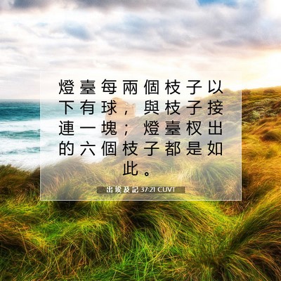 Picture 07 - 出 埃 及 記 37:21 CUVT - 燈 臺 每 兩 個 枝 子 以 下 有 球 ， - Bible Verse Picture