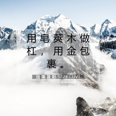Picture 07 - 出 埃 及 記 37:28 CUVT - 用 皂 莢 木 做 杠 ， 用 金 包 裹 - Bible Verse Picture