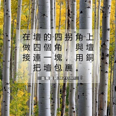Picture 07 - 出 埃 及 記 38:2 CUVT - 在 壇 的 四 拐 角 上 做 四 個 角 ， - Bible Verse Picture