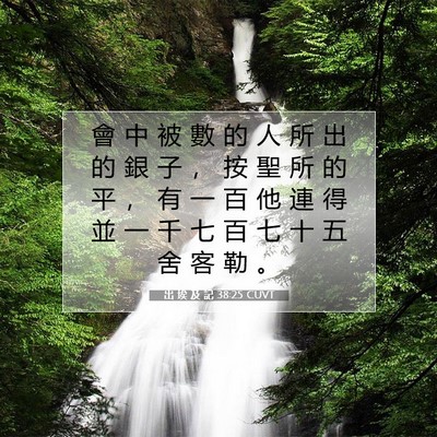 Picture 07 - 出 埃 及 記 38:25 CUVT - 會 中 被 數 的 人 所 出 的 銀 子 ， - Bible Verse Picture