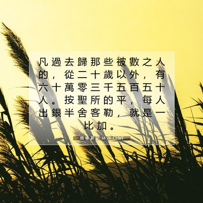 Picture 07 - 出 埃 及 記 38:26 CUVT - 凡 過 去 歸 那 些 被 數 之 人 的 ， - Bible Verse Picture
