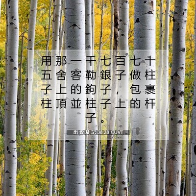 Picture 07 - 出 埃 及 記 38:28 CUVT - 用 那 一 千 七 百 七 十 五 舍 客 勒 - Bible Verse Picture