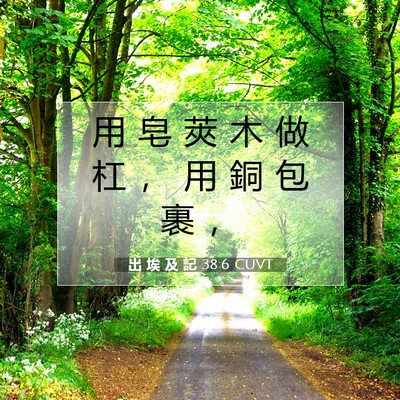 Picture 07 - 出 埃 及 記 38:6 CUVT - 用 皂 莢 木 做 杠 ， 用 銅 包 裹 - Bible Verse Picture