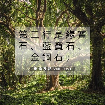 Picture 07 - 出 埃 及 記 39:11 CUVT - 第 二 行 是 綠 寶 石 、 藍 寶 石 、 - Bible Verse Picture