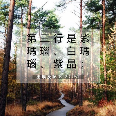 Picture 07 - 出 埃 及 記 39:12 CUVT - 第 三 行 是 紫 瑪 瑙 、 白 瑪 瑙 、 - Bible Verse Picture