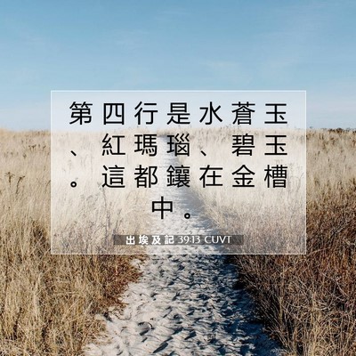 Picture 07 - 出 埃 及 記 39:13 CUVT - 第 四 行 是 水 蒼 玉 、 紅 瑪 瑙 、 - Bible Verse Picture