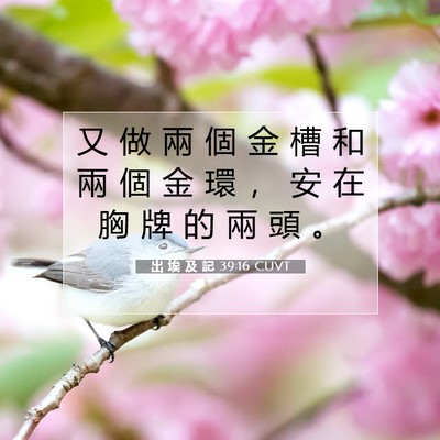 Picture 07 - 出 埃 及 記 39:16 CUVT - 又 做 兩 個 金 槽 和 兩 個 金 環 ， - Bible Verse Picture