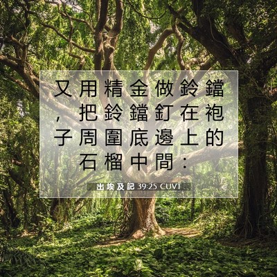 Picture 07 - 出 埃 及 記 39:25 CUVT - 又 用 精 金 做 鈴 鐺 ， 把 鈴 鐺 釘 - Bible Verse Picture
