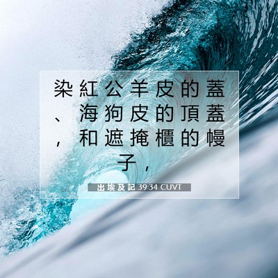 Picture 07 - 出 埃 及 記 39:34 CUVT - 染 紅 公 羊 皮 的 蓋 、 海 狗 皮 的 - Bible Verse Picture