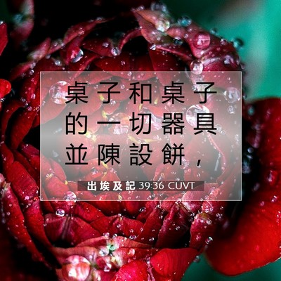 Picture 07 - 出 埃 及 記 39:36 CUVT - 桌 子 和 桌 子 的 一 切 器 具 並 陳 - Bible Verse Picture