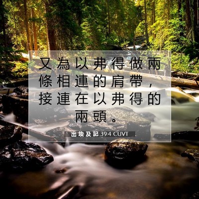 Picture 07 - 出 埃 及 記 39:4 CUVT - 又 為 以 弗 得 做 兩 條 相 連 的 肩 - Bible Verse Picture