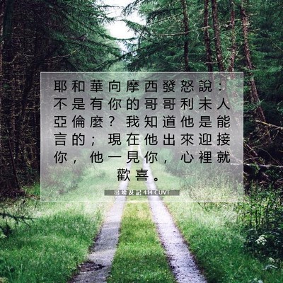 Picture 07 - 出 埃 及 記 4:14 CUVT - 耶 和 華 向 摩 西 發 怒 說 ： 不 是 - Bible Verse Picture