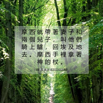 Picture 07 - 出 埃 及 記 4:20 CUVT - 摩 西 就 帶 著 妻 子 和 兩 個 兒 子 - Bible Verse Picture