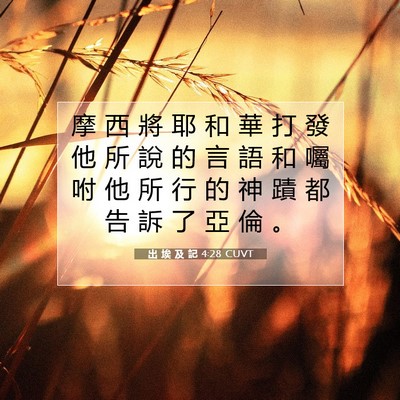 Picture 07 - 出 埃 及 記 4:28 CUVT - 摩 西 將 耶 和 華 打 發 他 所 說 的 - Bible Verse Picture