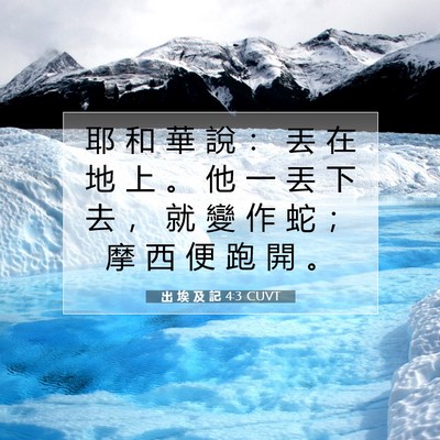 Picture 07 - 出 埃 及 記 4:3 CUVT - 耶 和 華 說 ： 丟 在 地 上 。 他 一 - Bible Verse Picture
