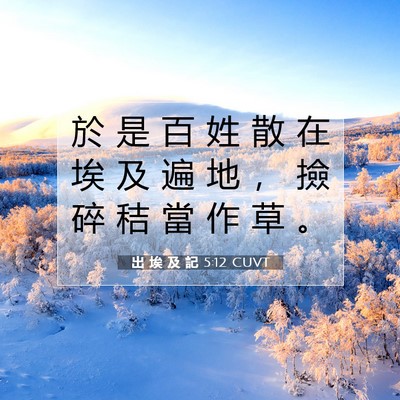Picture 07 - 出 埃 及 記 5:12 CUVT - 於 是 百 姓 散 在 埃 及 遍 地 ， 撿 - Bible Verse Picture