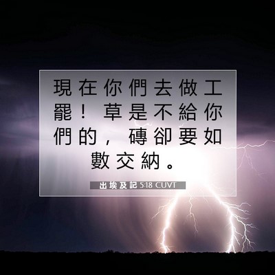 Picture 07 - 出 埃 及 記 5:18 CUVT - 現 在 你 們 去 做 工 罷 ！ 草 是 不 - Bible Verse Picture