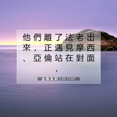 Picture 07 - 出 埃 及 記 5:20 CUVT - 他 們 離 了 法 老 出 來 ， 正 遇 見 - Bible Verse Picture