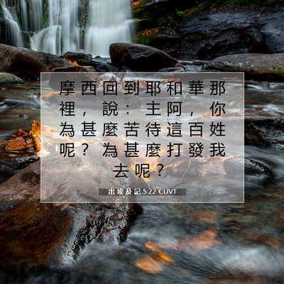 Picture 07 - 出 埃 及 記 5:22 CUVT - 摩 西 回 到 耶 和 華 那 裡 ， 說 ： - Bible Verse Picture