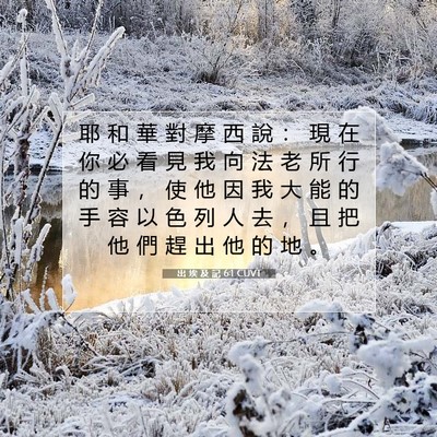 Picture 07 - 出 埃 及 記 6:1 CUVT - 耶 和 華 對 摩 西 說 ： 現 在 你 必 - Bible Verse Picture