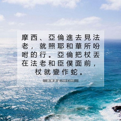Picture 07 - 出 埃 及 記 7:10 CUVT - 摩 西 、 亞 倫 進 去 見 法 老 ， 就 - Bible Verse Picture