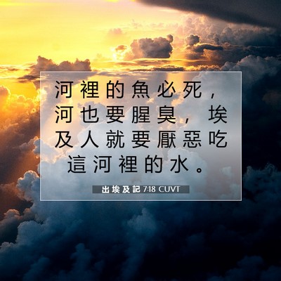 Picture 07 - 出 埃 及 記 7:18 CUVT - 河 裡 的 魚 必 死 ， 河 也 要 腥 臭 - Bible Verse Picture
