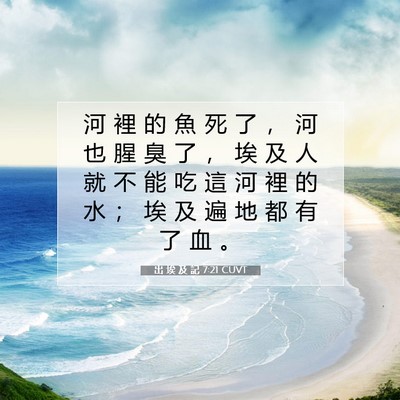 Picture 07 - 出 埃 及 記 7:21 CUVT - 河 裡 的 魚 死 了 ， 河 也 腥 臭 了 - Bible Verse Picture