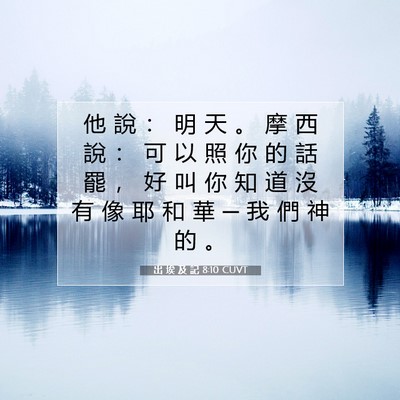 Picture 07 - 出 埃 及 記 8:10 CUVT - 他 說 ： 明 天 。 摩 西 說 ： 可 以 - Bible Verse Picture