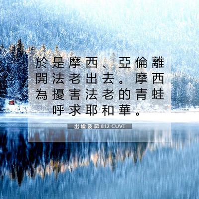 Picture 07 - 出 埃 及 記 8:12 CUVT - 於 是 摩 西 、 亞 倫 離 開 法 老 出 - Bible Verse Picture