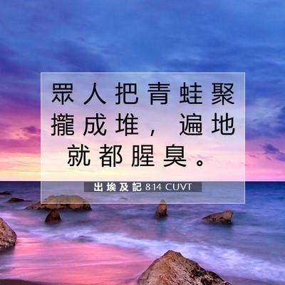 Picture 07 - 出 埃 及 記 8:14 CUVT - 眾 人 把 青 蛙 聚 攏 成 堆 ， 遍 地 - Bible Verse Picture