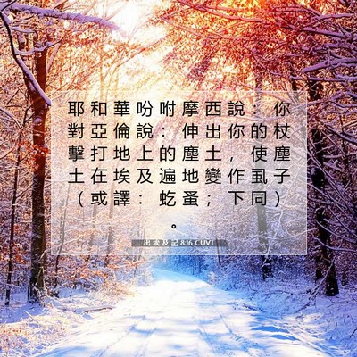 Picture 07 - 出 埃 及 記 8:16 CUVT - 耶 和 華 吩 咐 摩 西 說 ： 你 對 亞 - Bible Verse Picture