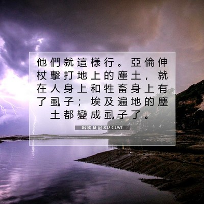 Picture 07 - 出 埃 及 記 8:17 CUVT - 他 們 就 這 樣 行 。 亞 倫 伸 杖 擊 - Bible Verse Picture