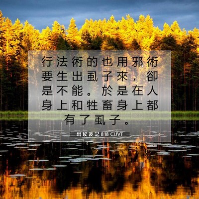 Picture 07 - 出 埃 及 記 8:18 CUVT - 行 法 術 的 也 用 邪 術 要 生 出 虱 - Bible Verse Picture