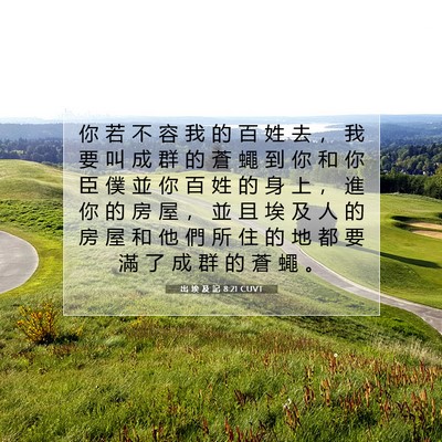 Picture 07 - 出 埃 及 記 8:21 CUVT - 你 若 不 容 我 的 百 姓 去 ， 我 要 - Bible Verse Picture