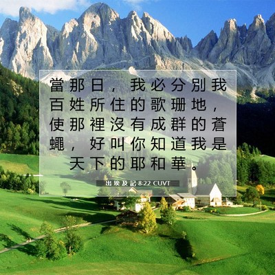 Picture 07 - 出 埃 及 記 8:22 CUVT - 當 那 日 ， 我 必 分 別 我 百 姓 所 - Bible Verse Picture