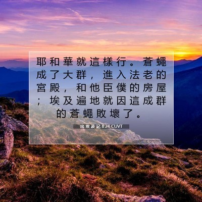 Picture 07 - 出 埃 及 記 8:24 CUVT - 耶 和 華 就 這 樣 行 。 蒼 蠅 成 了 - Bible Verse Picture