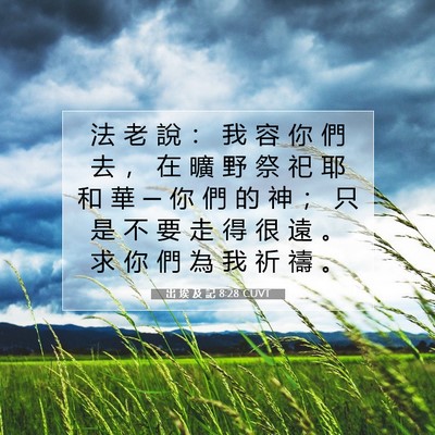 Picture 07 - 出 埃 及 記 8:28 CUVT - 法 老 說 ： 我 容 你 們 去 ， 在 曠 - Bible Verse Picture